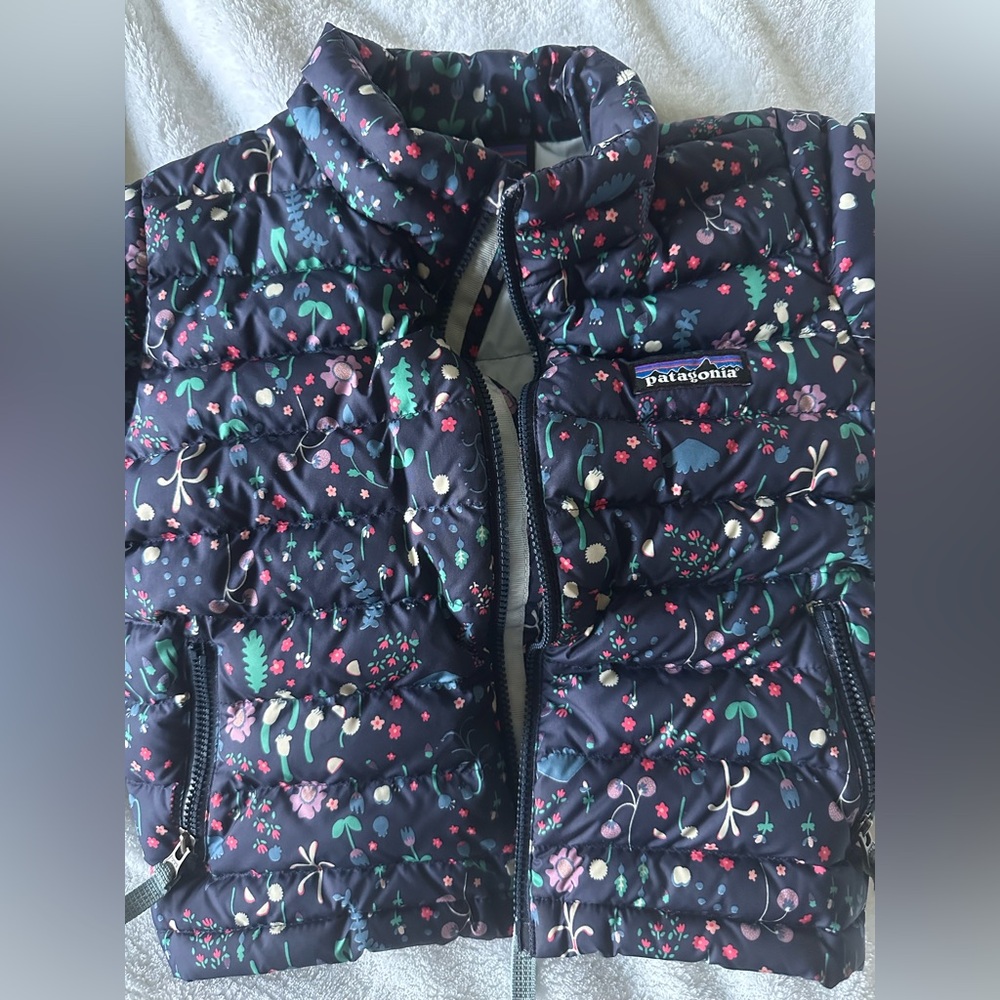 2T Toddler Girls Patagonia Down Jacket